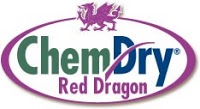 Chem Dry Red Dragon 359368 Image 3